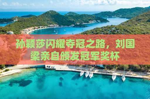 孙颖莎闪耀夺冠之路，刘国梁亲自颁发冠军奖杯